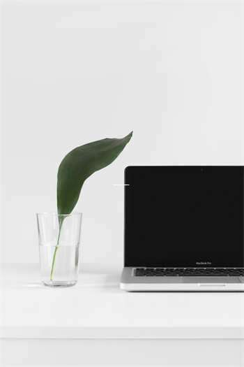 '秦皇岛如何办理签证？'五个国家你要知道'通关攻略'！ 第1张